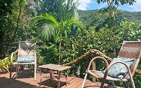 Suites Casa Do Indio Jungle, A Melhor Vista Da Floresta